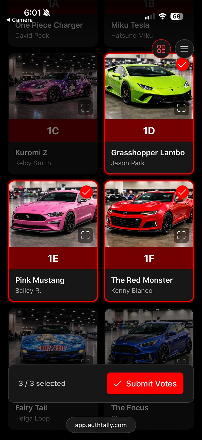 Entry cards on the public vote page with selection borders and checkmarks in the custom accent color